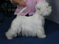 /album/nase-feny/pa012485-jpg/