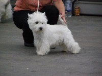 /album/barbelle-natalica/p8281022-jpg/