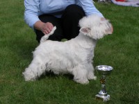 /album/barbelle-natalica/p9041137-jpg/