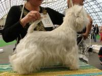 /album/barbelle-natalica/p4301900-jpg/