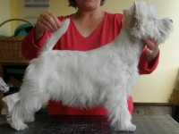 /album/nase-feny/a001-jpg2/